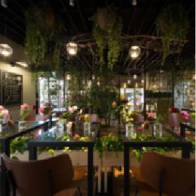 Sweet blossom cafe